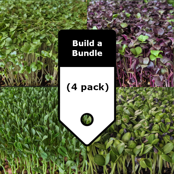 Build a Bundle (4 pack)